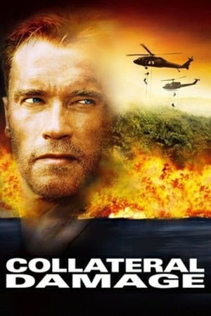 Collateral Damage คนเหล็กทวงแค้น วินาศกรรมทมิฬ (2002)