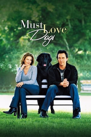 Must Love Dogs (2005) บรรยายไทย