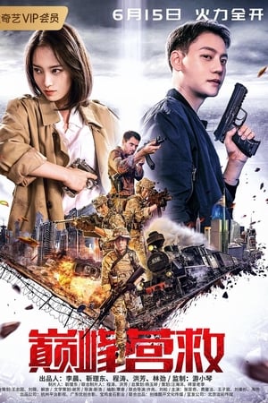 Peak Rescue (Dian feng ying jiu) (2019)