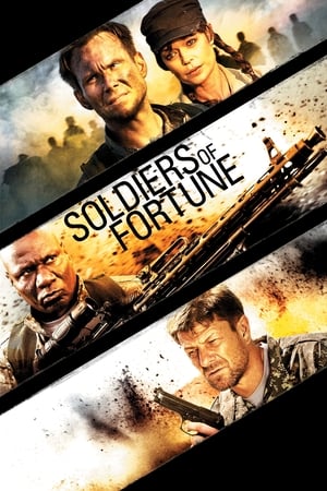 Soldiers of Fortune เกมรบคนอันตราย (2012)